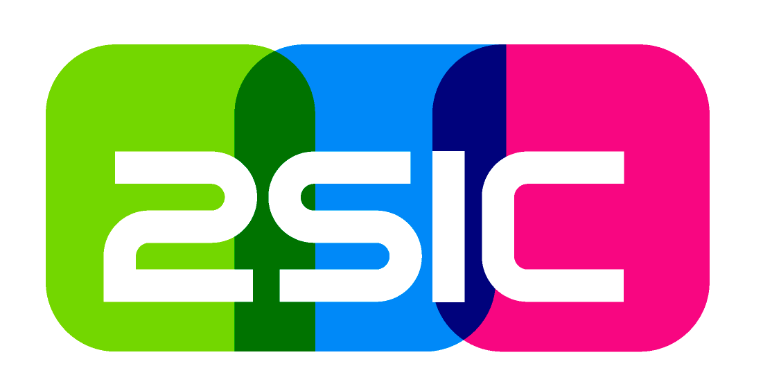 2sic internet solutions Logo